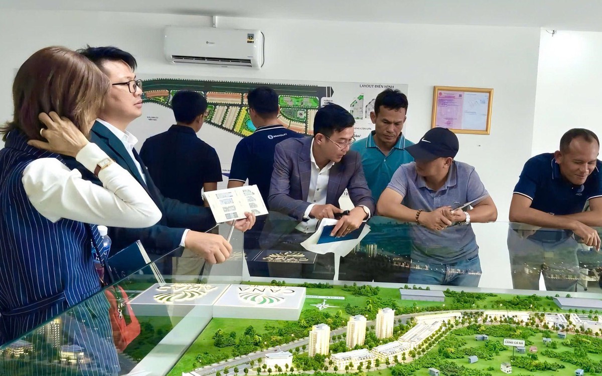 Mở bán Cà Ná New City