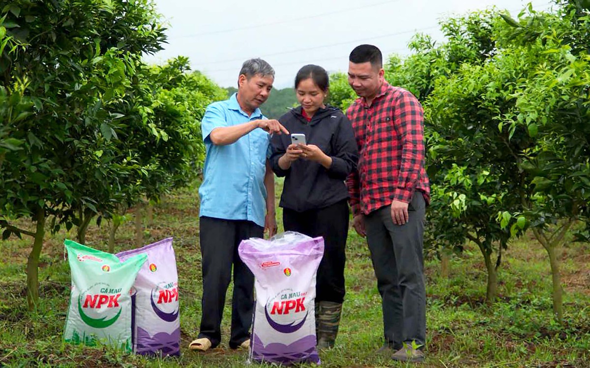 Sắc vui đến từ những câu chuyện thật và niềm tin ‘Mùa vàng thắng lớn’