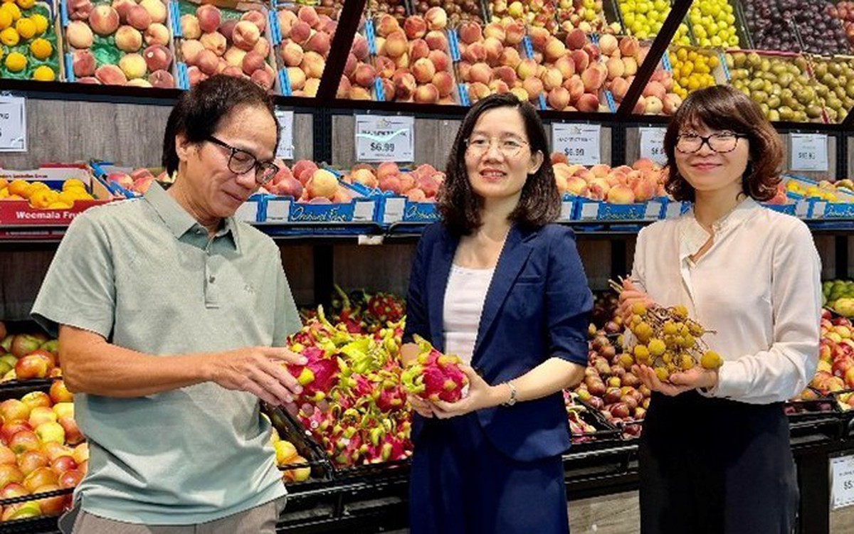 Sản phẩm xuất khẩu Việt Nam tiềm năng tại thị trường Úc 1.600 tỉ USD