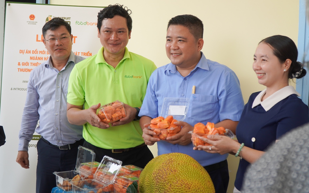 Dự án Jackfruit Việt Nam đưa mít 'ruột đỏ Cái Ngang' vào chuỗi cung ứng