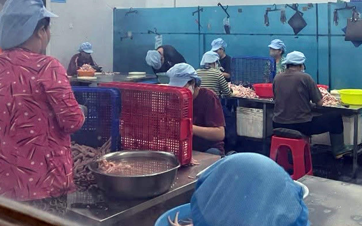 Dùng nguyên liệu quá hạn chế biến thực phẩm, doanh nghiệp Đồng Nai bị phạt gần 400 triệu đồng
