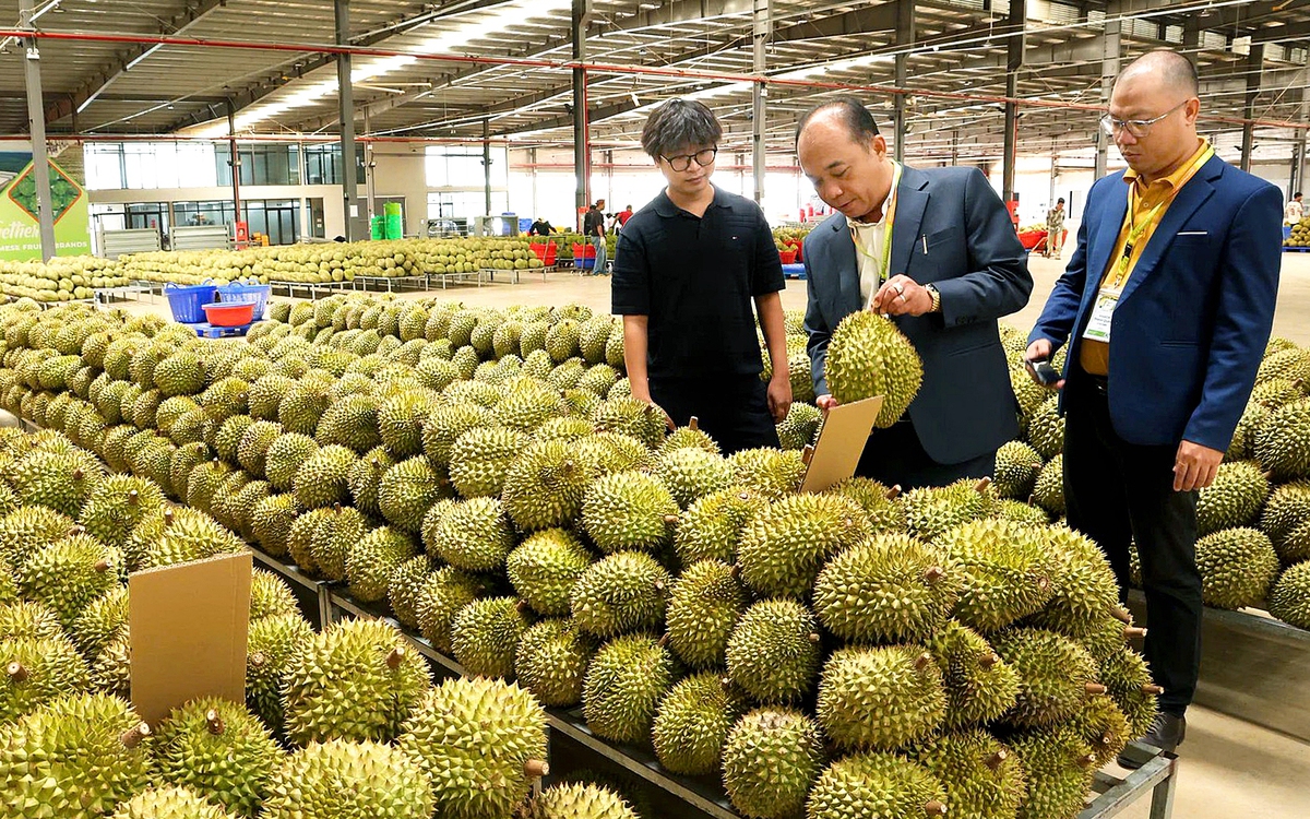 EU siết dư lượng thuốc bảo vệ thực vật: Nông sản Việt đối mặt thách thức xuất khẩu