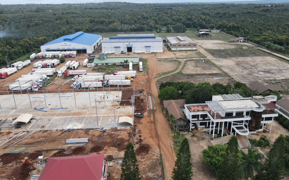 Đắk Lắk tính giải thể doanh nghiệp nhà nước thua lỗ, nợ thuế, giữ gần 100.000ha đất