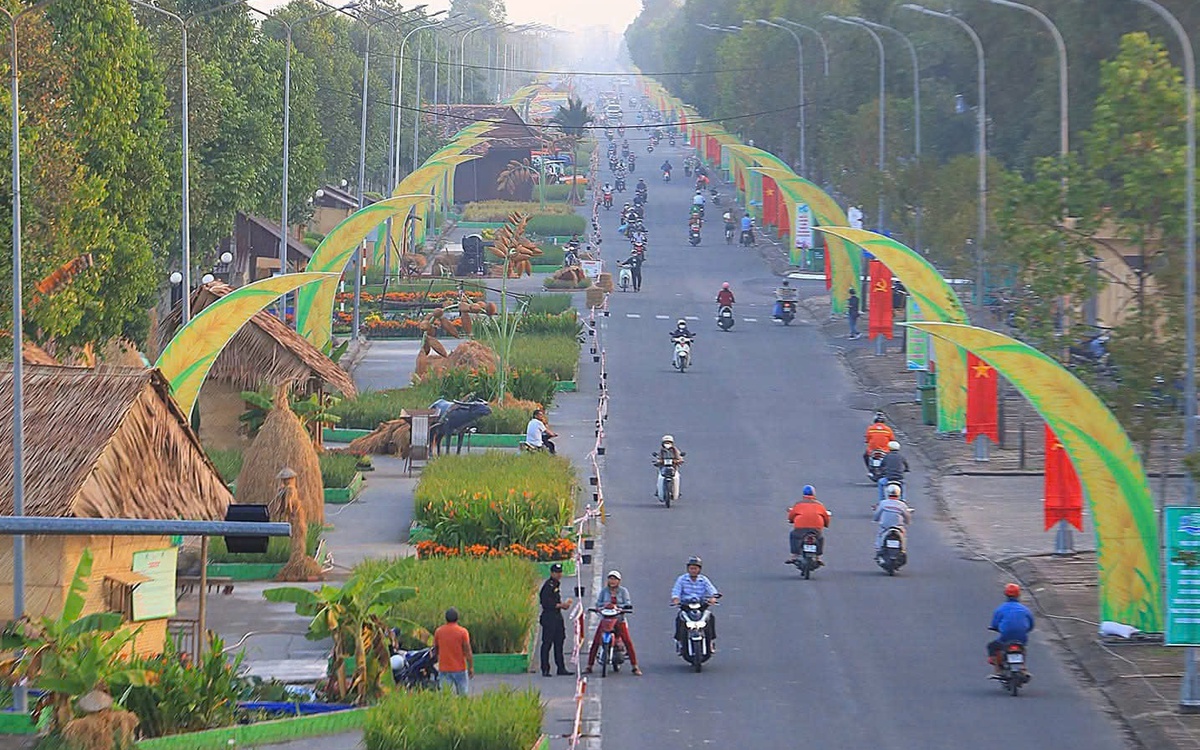 Cần Thơ tổ chức Festival lúa gạo 2026 với 3 hội thi