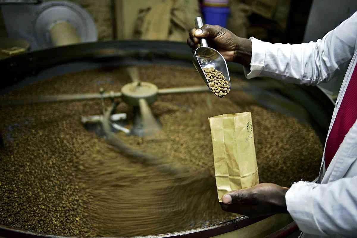 Lối đi riêng của Robusta Ấn Độ