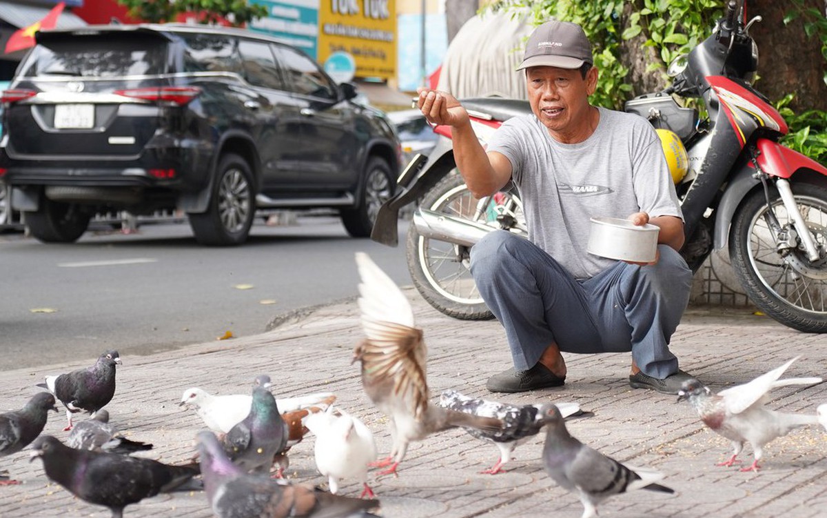 Người cựu binh hơn 30 năm ‘đãi tiệc’ đàn bồ câu giữa lòng TP.HCM