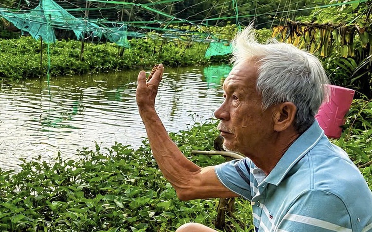 Người đàn ông ngày bán cơm, tối ngủ trên chòi lá canh giữ 'bảo tàng cá thiên nhiên'