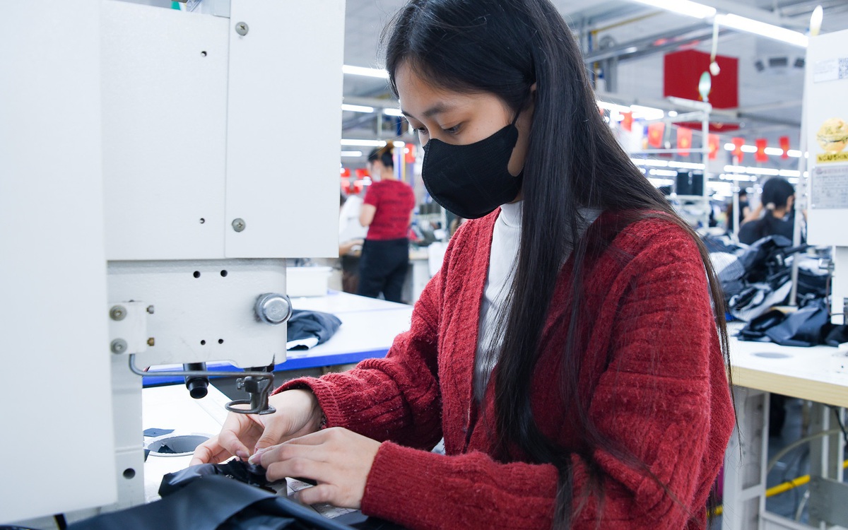 Từ 10-9, quấy rối tình dục tại nơi làm việc bị phạt tới 30 triệu