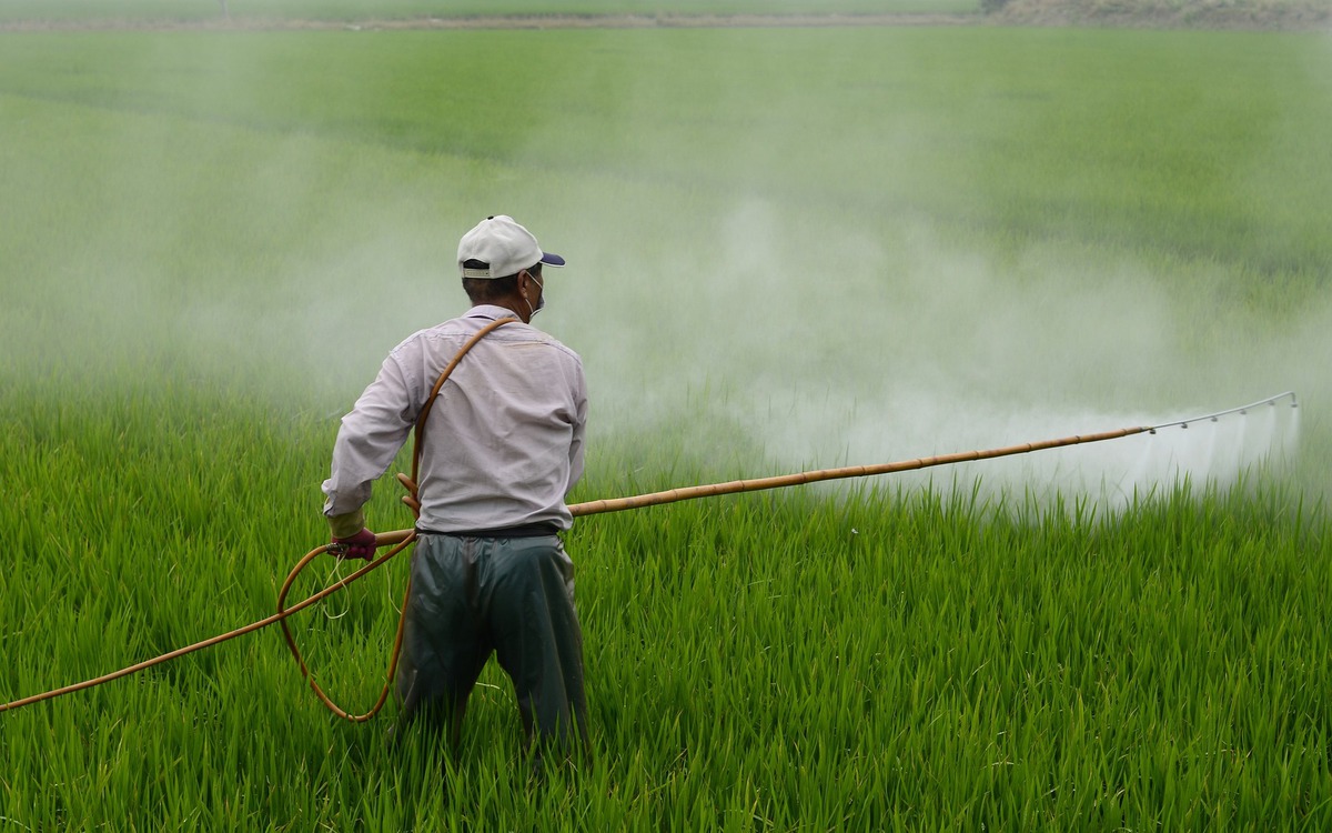 Tiếp xúc thuốc trừ sâu có thể ảnh hưởng thần kinh nhiều năm sau