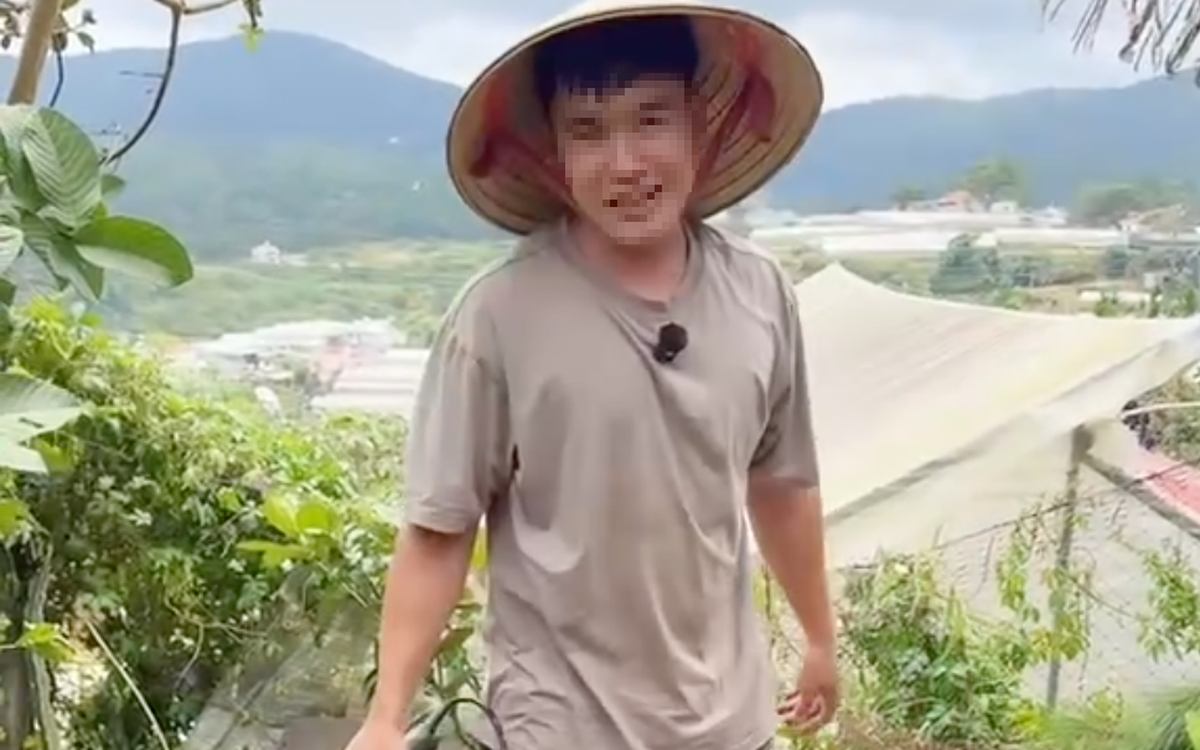 Phường Xuân Hương - Đà Lạt lý giải việc xử phạt 35 triệu với người chặt cây thông tại vườn nhà