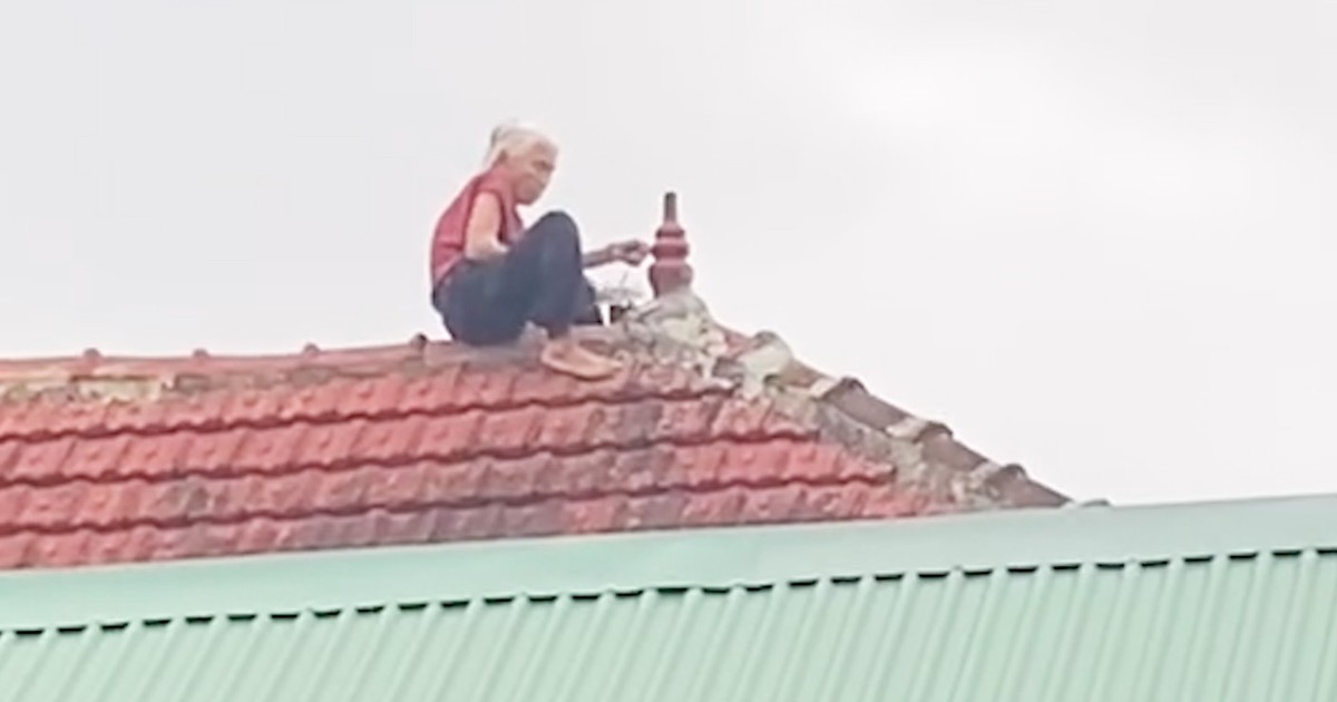 Cụ bà gần 80 tuổi leo lên mái nhà sửa ngói khiến cộng đồng mạng 'hú hồn'