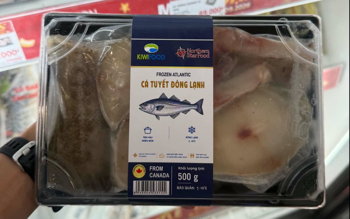 Thương mại Việt Nam - Canada: Đánh giá tiềm năng hợp tác CPTPP