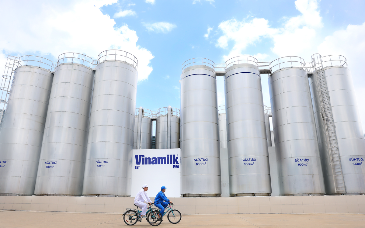 Vinamilk và hành trình 50 năm không ngừng nâng chuẩn