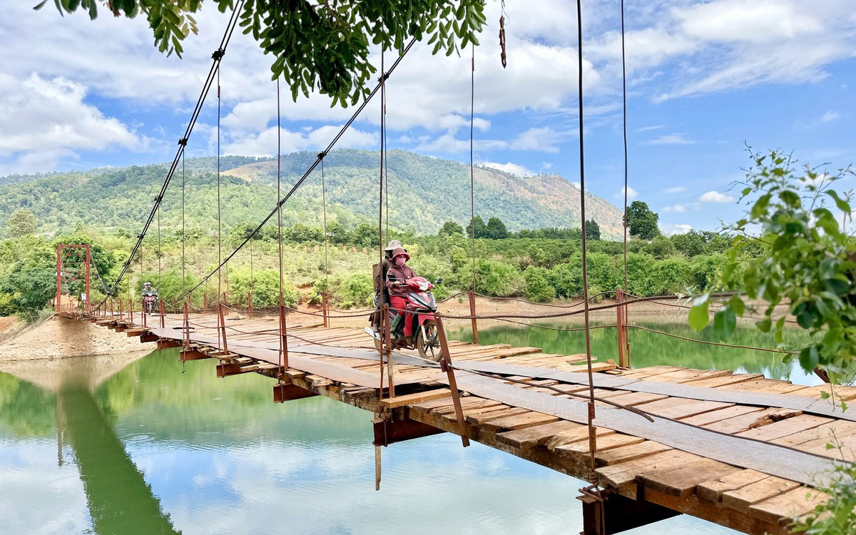 Cử tri mong có cầu vượt lòng hồ thủy điện để chở bơ, cà phê, sầu riêng