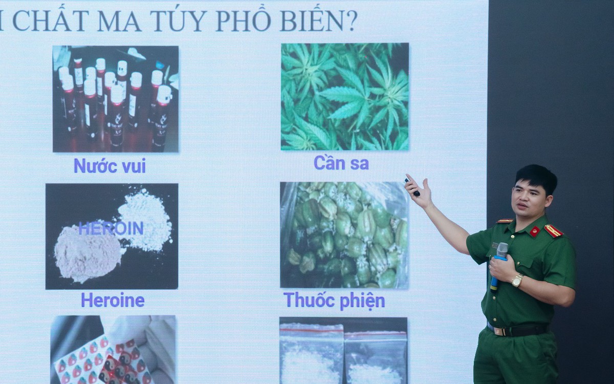 Giúp người khác mang hành lý, không biết bên trong chứa ma túy có bị xử lý hình sự?