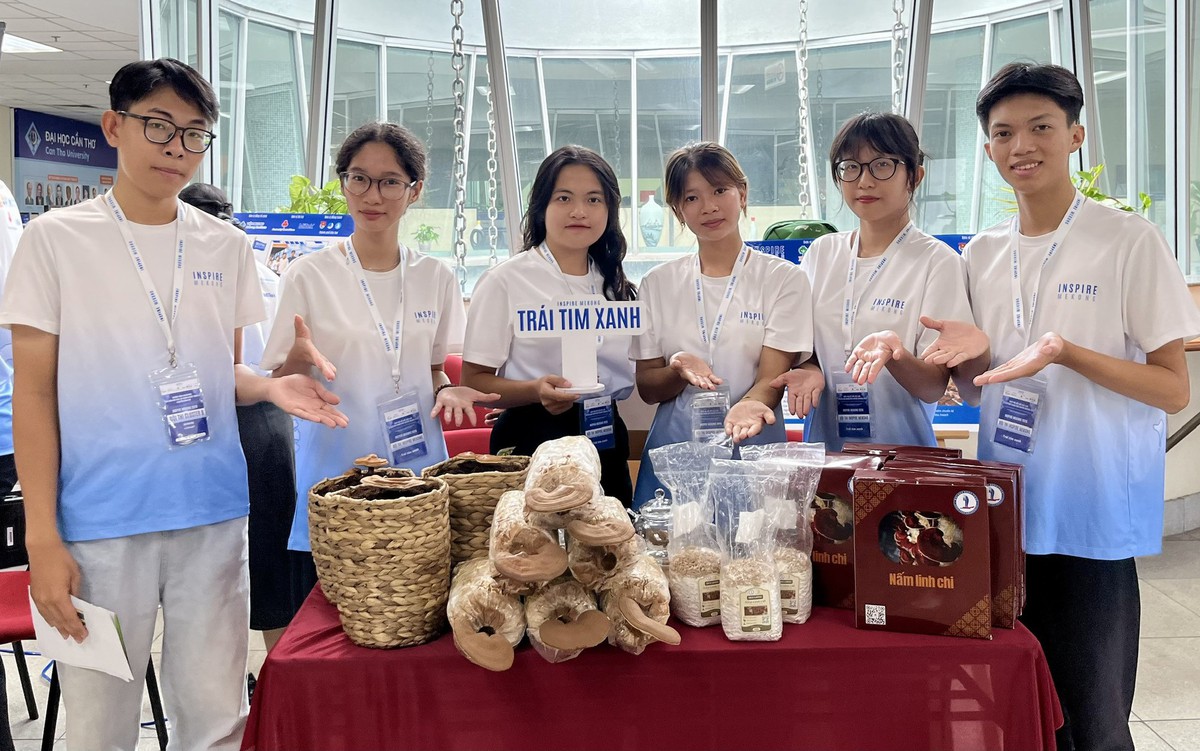 Sinh viên nghiên cứu sản xuất nấm linh chi giống, dùng AI giới thiệu sản phẩm