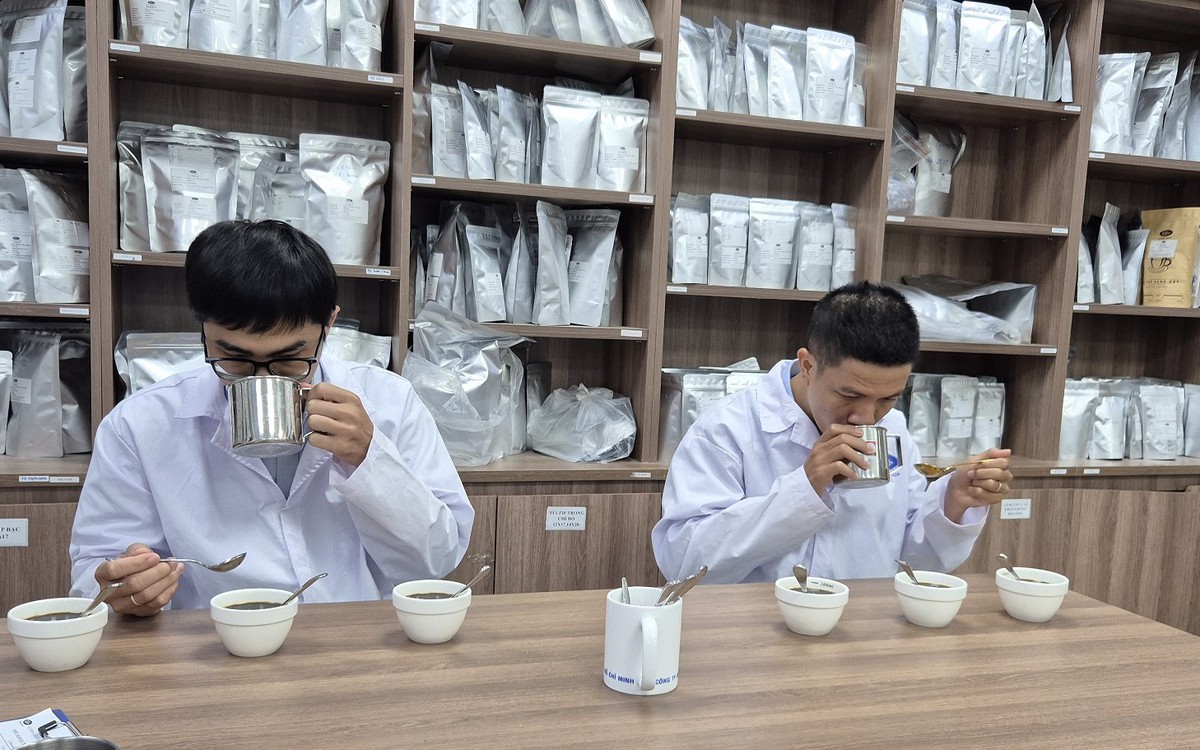 Việt Nam tăng tốc chế biến sâu cà phê Robusta