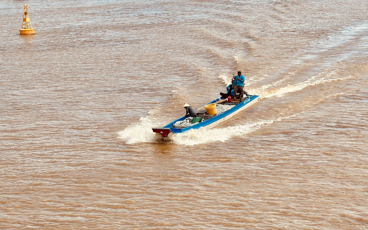 Dự báo đỉnh lũ Đồng bằng sông Cửu Long sẽ xuất hiện vào nửa đầu tháng 10