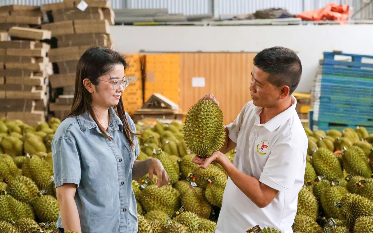 Xuất khẩu sầu riêng đạt 1,95 tỷ USD trong 8 tháng, hướng tới 4 tỷ USD vào 2026