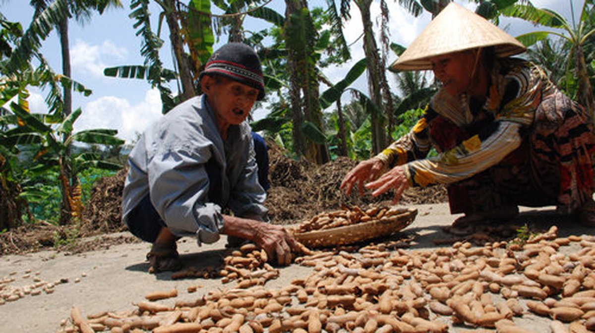 Sỏi đá tìm nhau