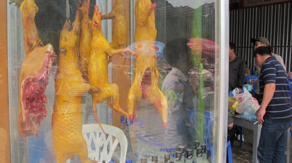 92% nhà hàng ở chùa Hương bán thịt động vật hoang dã