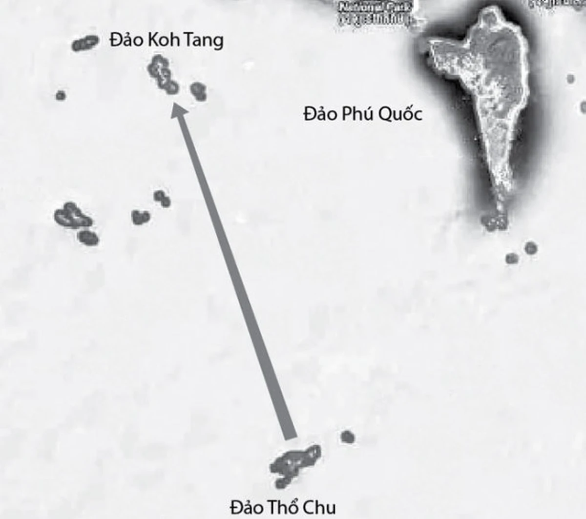 tuoitre.vn