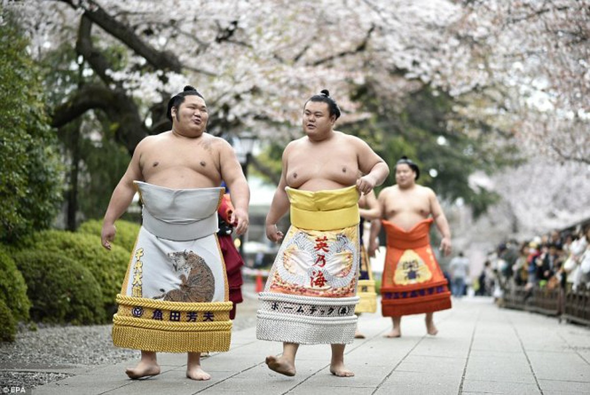 Xem đô vật sumo cận cảnh trên võ đài đền Yasukuni - Tuổi Trẻ Online