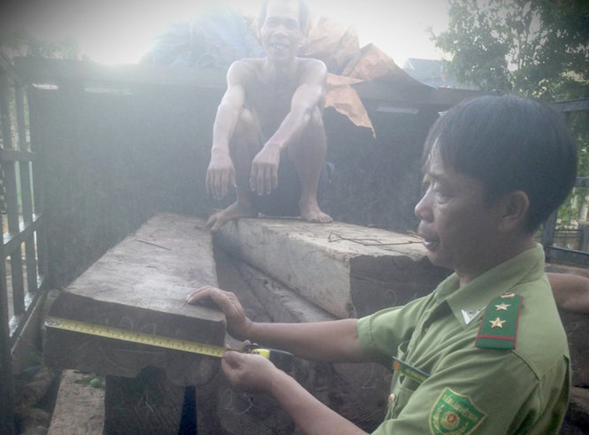 Bắt 2 vụ vận chuyển gỗ lậu