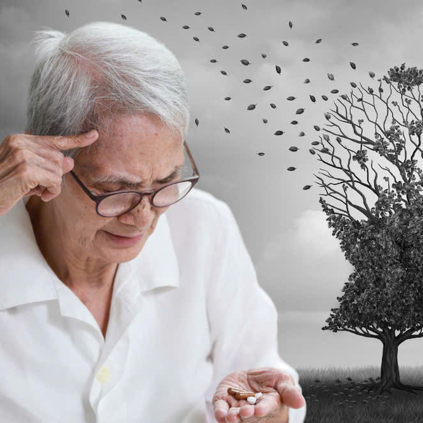 Gần 80% người sa sút trí tuệ mắc Alzheimer, phát hiện sớm có khó không? episode artwork