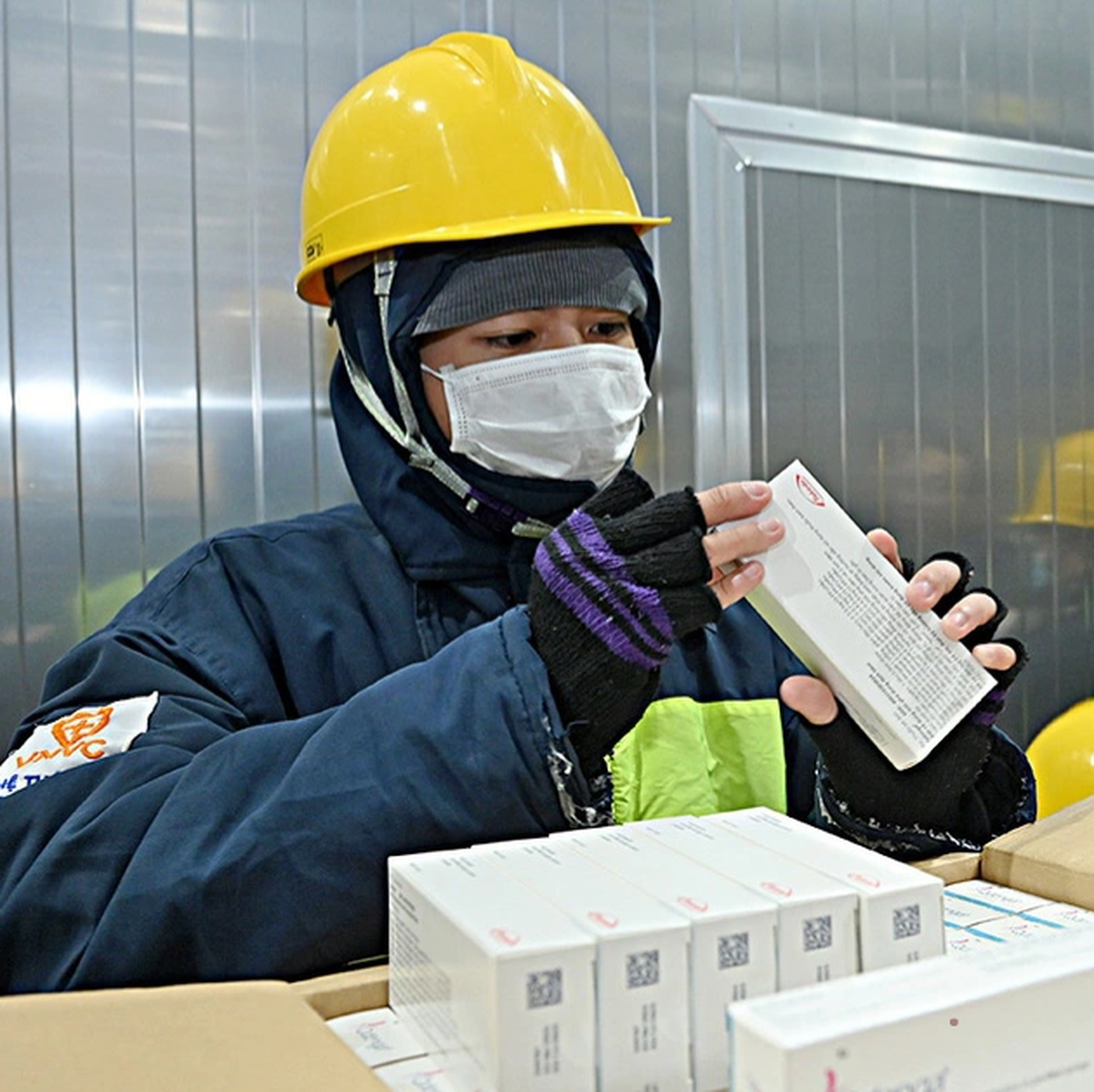 Việt Nam đã có vắc xin sốt xuất huyết