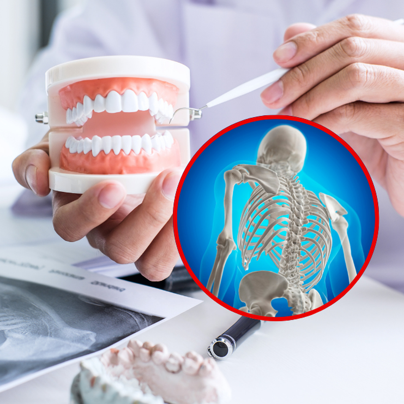 Răng với xương giống và khác nhau như thế nào?