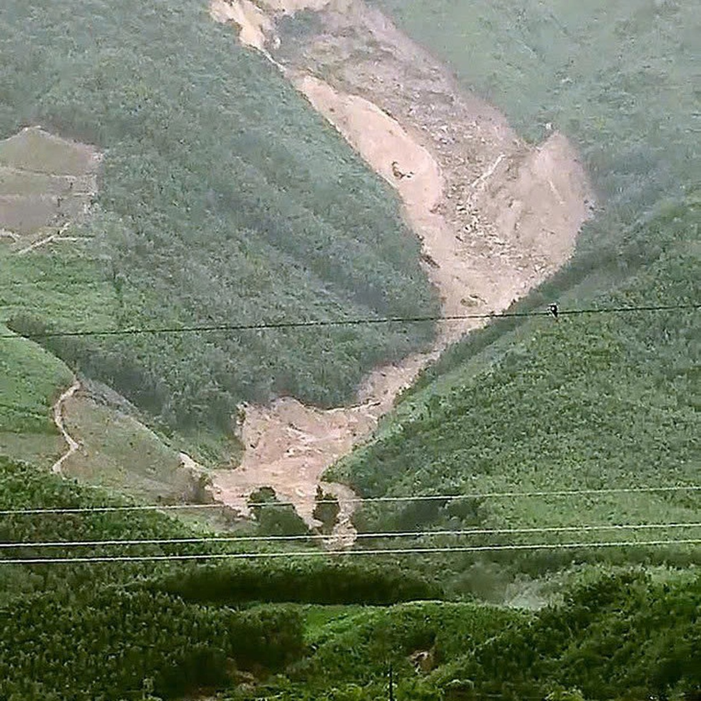 Nhân chứng kể vụ sạt lở núi kéo dài hàng cây số ở Đà Nẵng