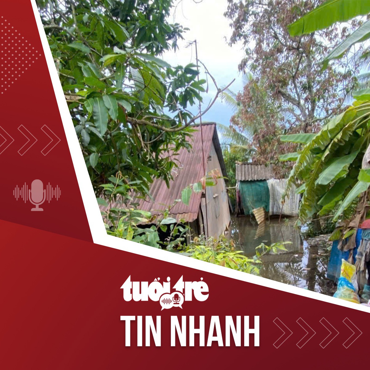 Tin tức tối 3-11: Hai mẹ con chết ở cửa nhà tắm, nghi do điện giật