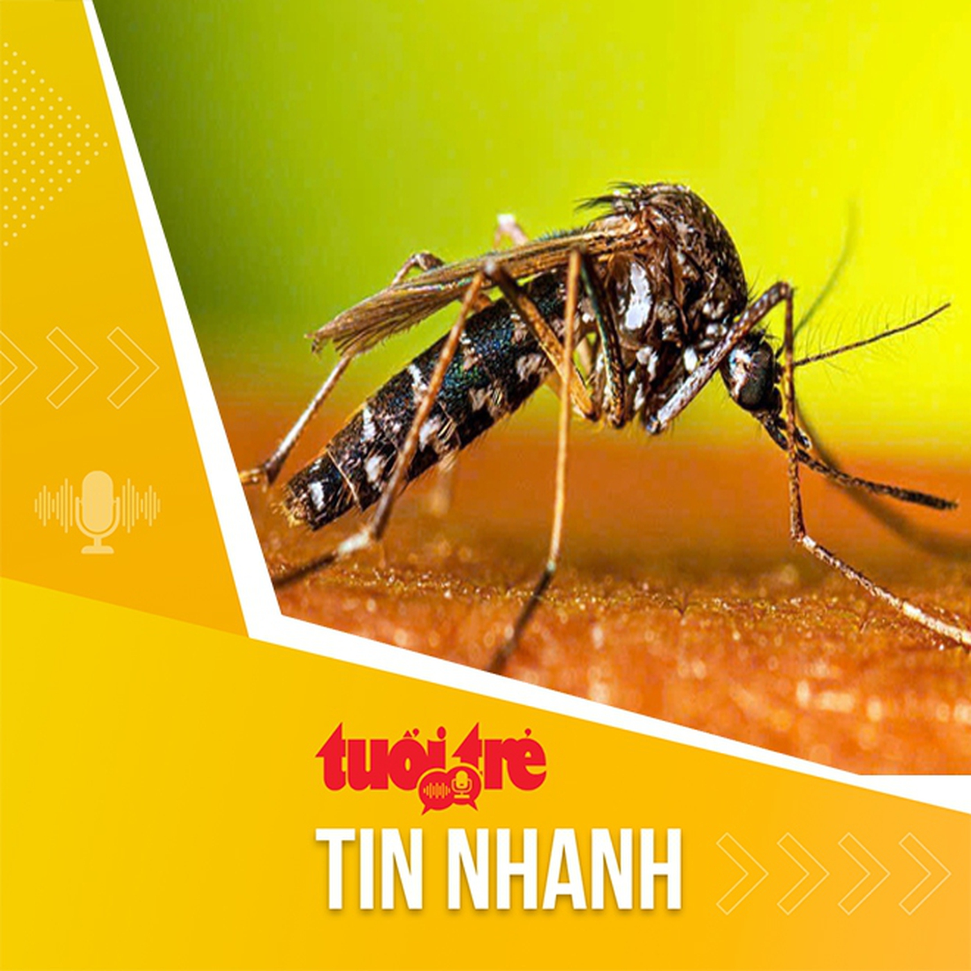 Tin tức sáng 19-12: Hơn 2.200 ca sốt xuất huyết, gần 1.300 ca tay chân miệng trong một tuần ở TP.HCM