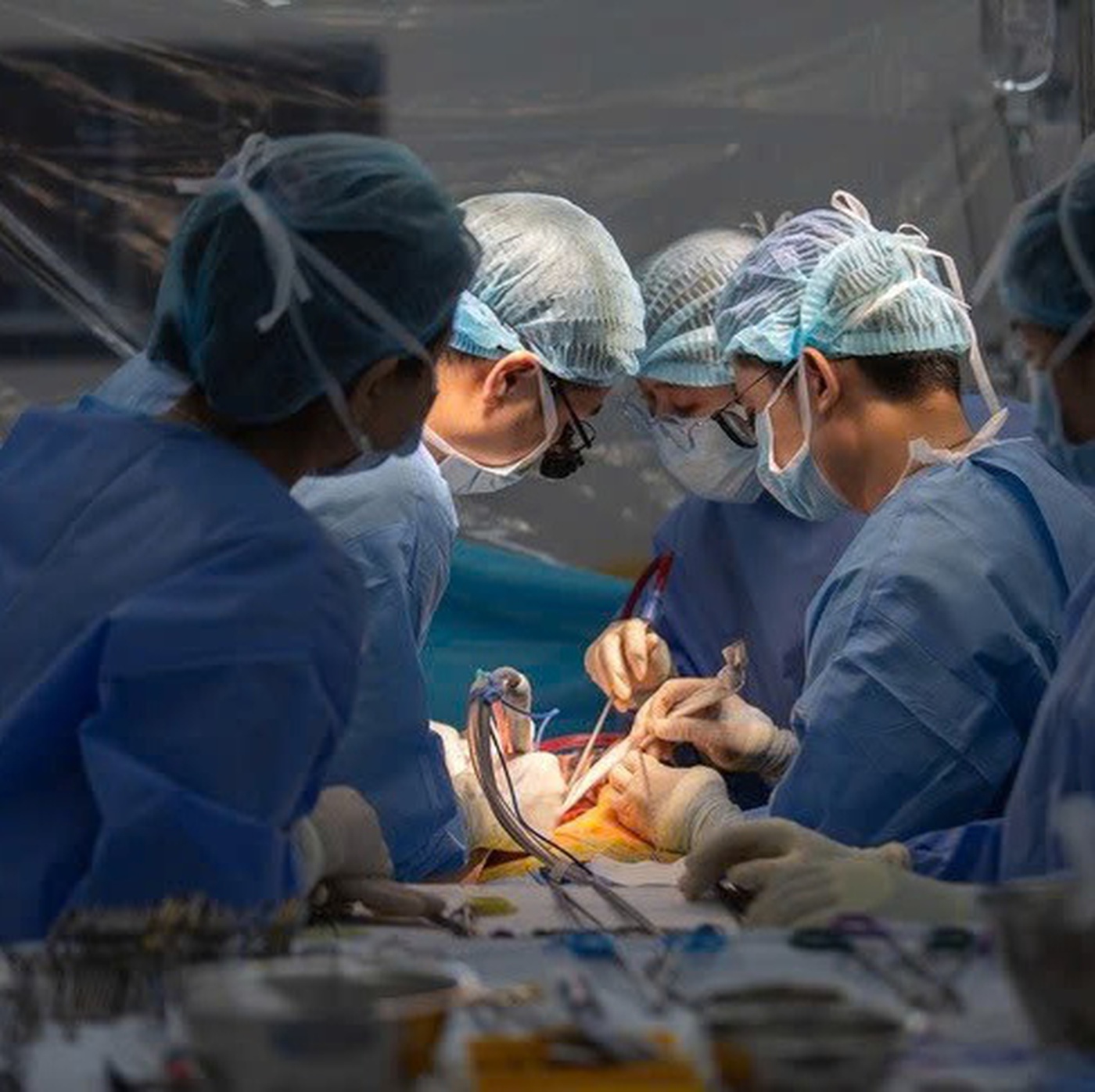 Giảng viên nguy kịch, hôn mê sâu được sinh viên hiến gan cứu sống