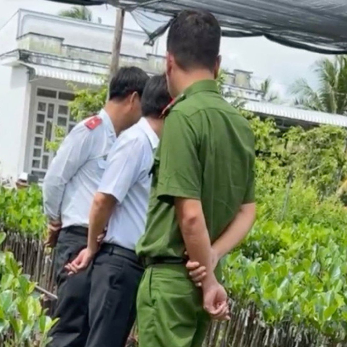 Dân mạng xôn xao về clip đoàn kiểm tra yêu cầu cơ sở cây giống cung cấp 'chứng chỉ ghép cây'
