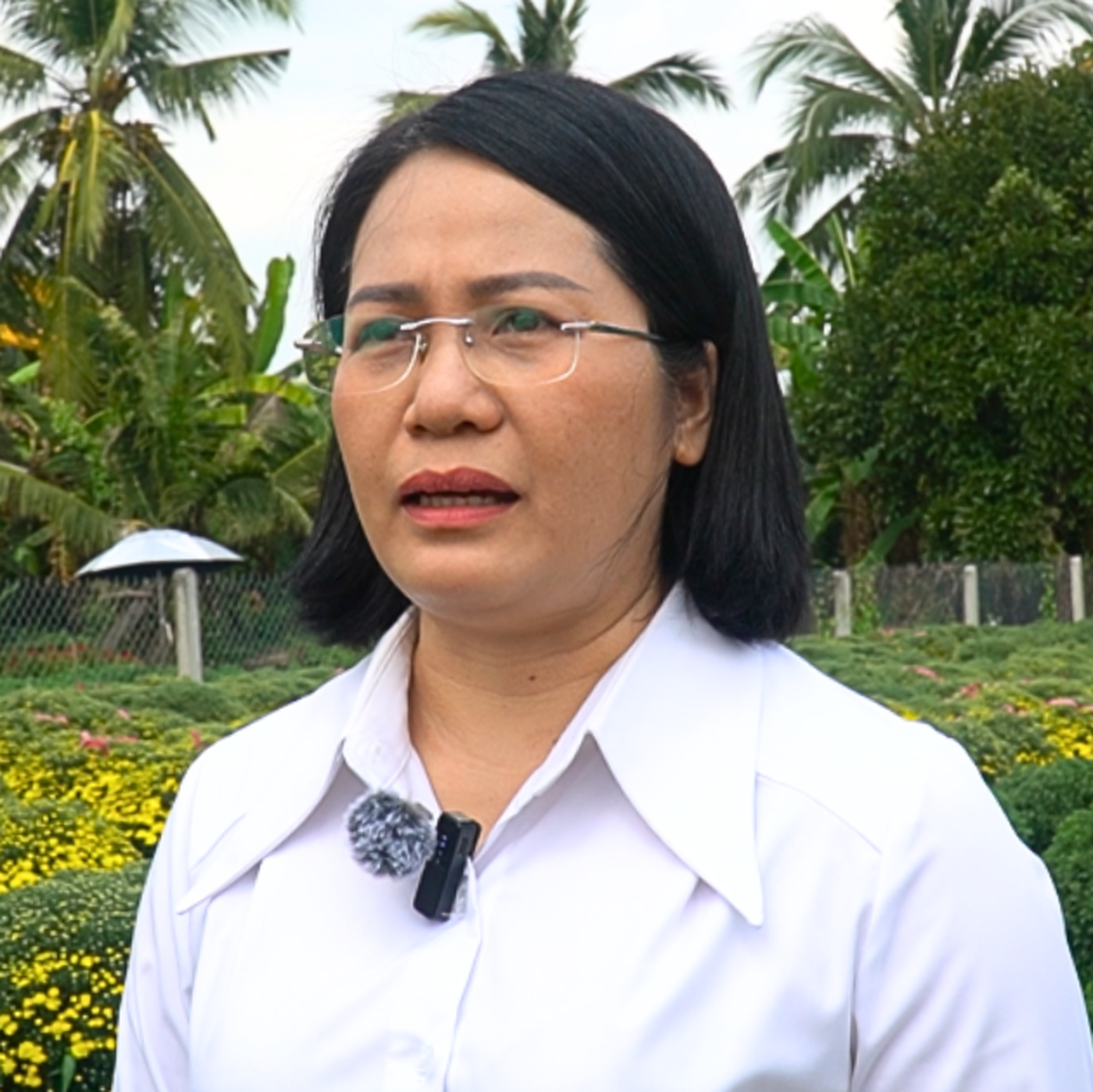 Bí thư xã ở Vĩnh Long cùng các KOL livestream bán hoa giúp nhà vườn