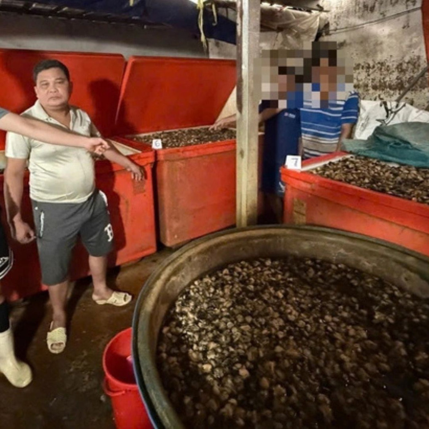 Lời khai của chủ cơ sở ngâm 3.000 tấn ốc bươu với hóa chất công nghiệp ở TP.HCM