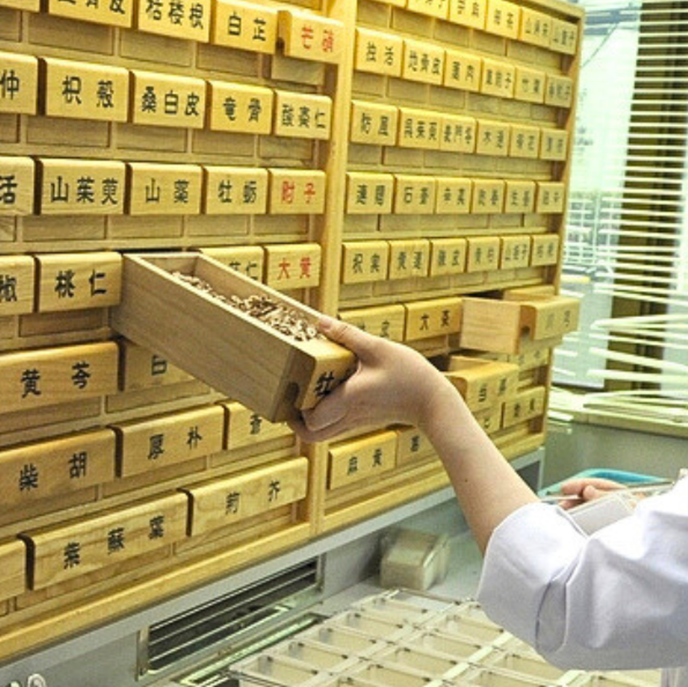 Cuộc chiến trường kỳ chống ung thư - Kỳ 6: Thuốc chống ung thư từ thảo dược