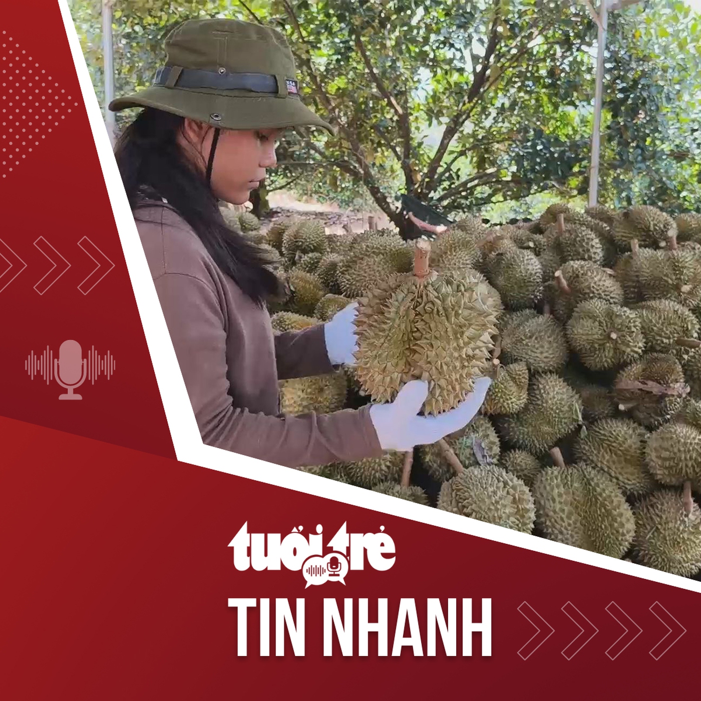 Tin tức tối 23-7: Giá sầu riêng ở thủ phủ Lâm Đồng rớt sâu