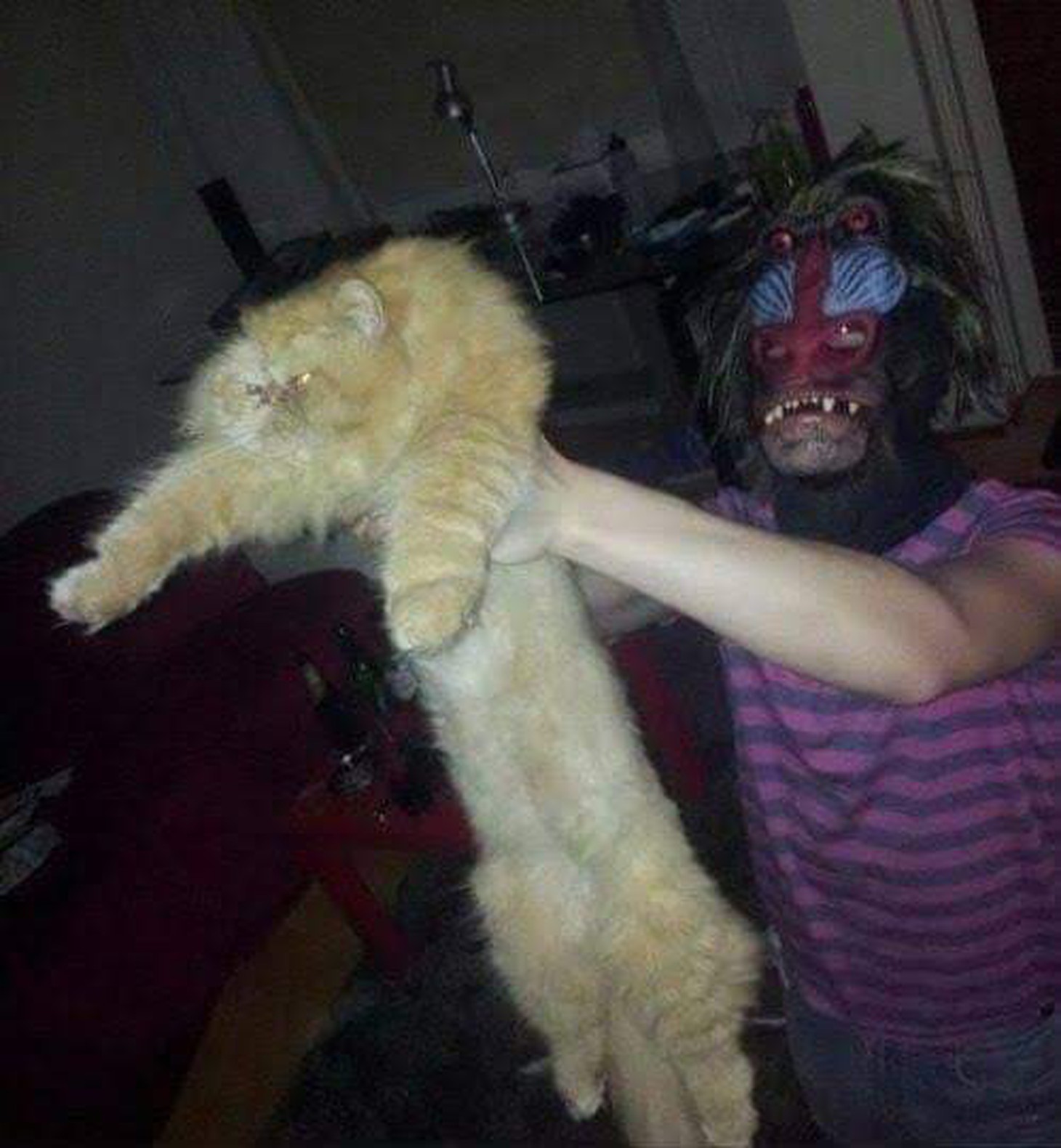 Quá mê The Lion King, khán giả chế ảnh Simba phiên bản chó mèo - Ảnh 12.