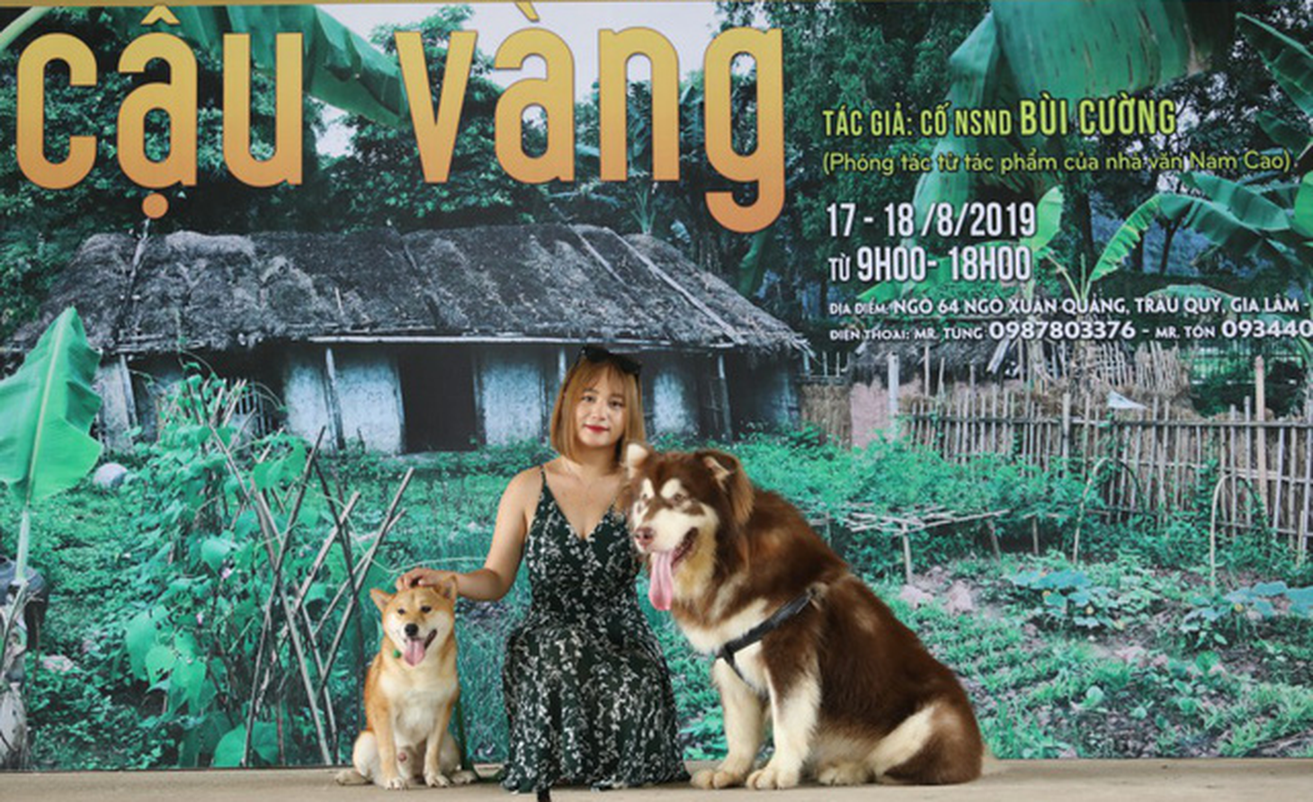 Cậu Vàng của Lão Hạc phải là chó ta, Shiba Inu là chó Nhật Bản! - Ảnh 6.