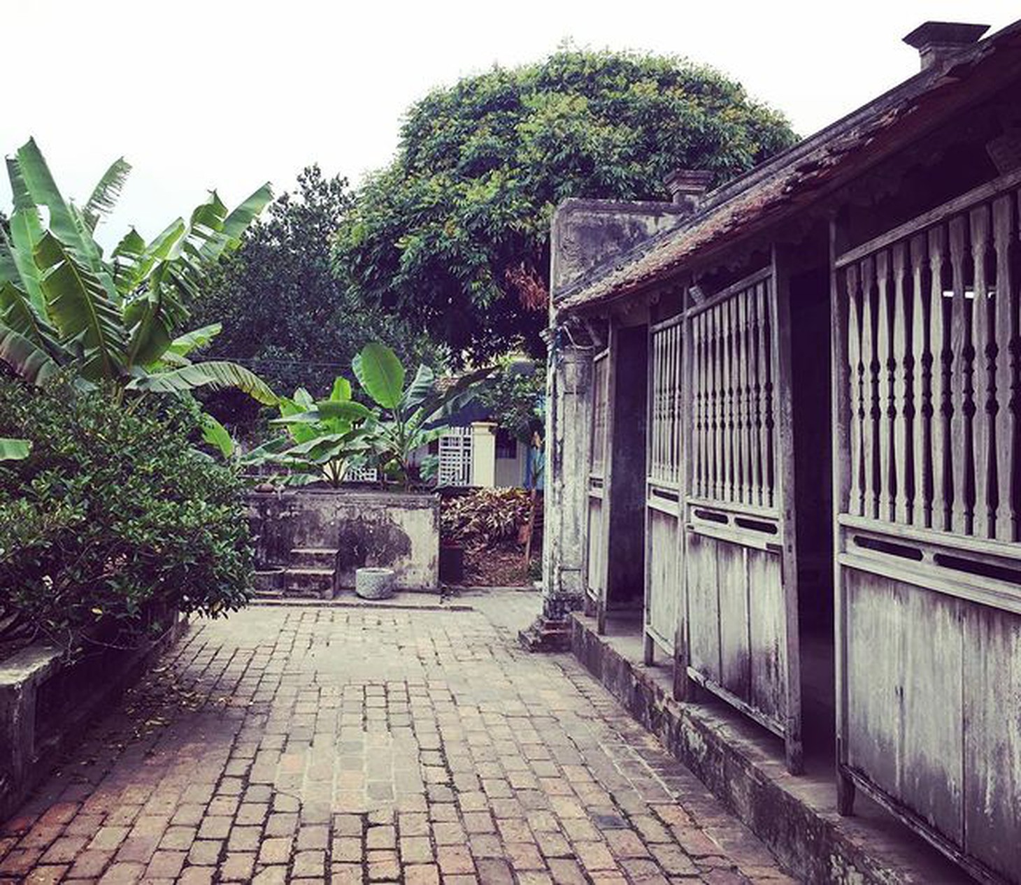 Điểm ăn chơi tại Hà Nam: Chốn tiên cảnh đẹp quên lối về - Ảnh 11.