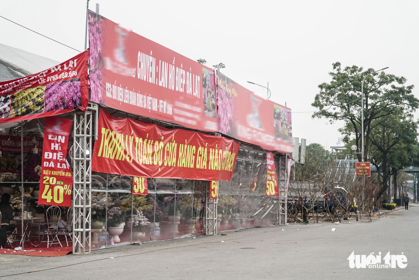 Hà Nội: lan hồ điệp ‘sale sập sàn’ vẫn vắng khách mua - Ảnh 2.