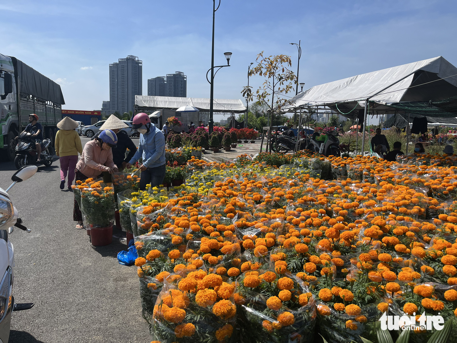 Chợ hoa Tết đóng cửa, người bán ráng vớt vát cú chót - Ảnh 8.