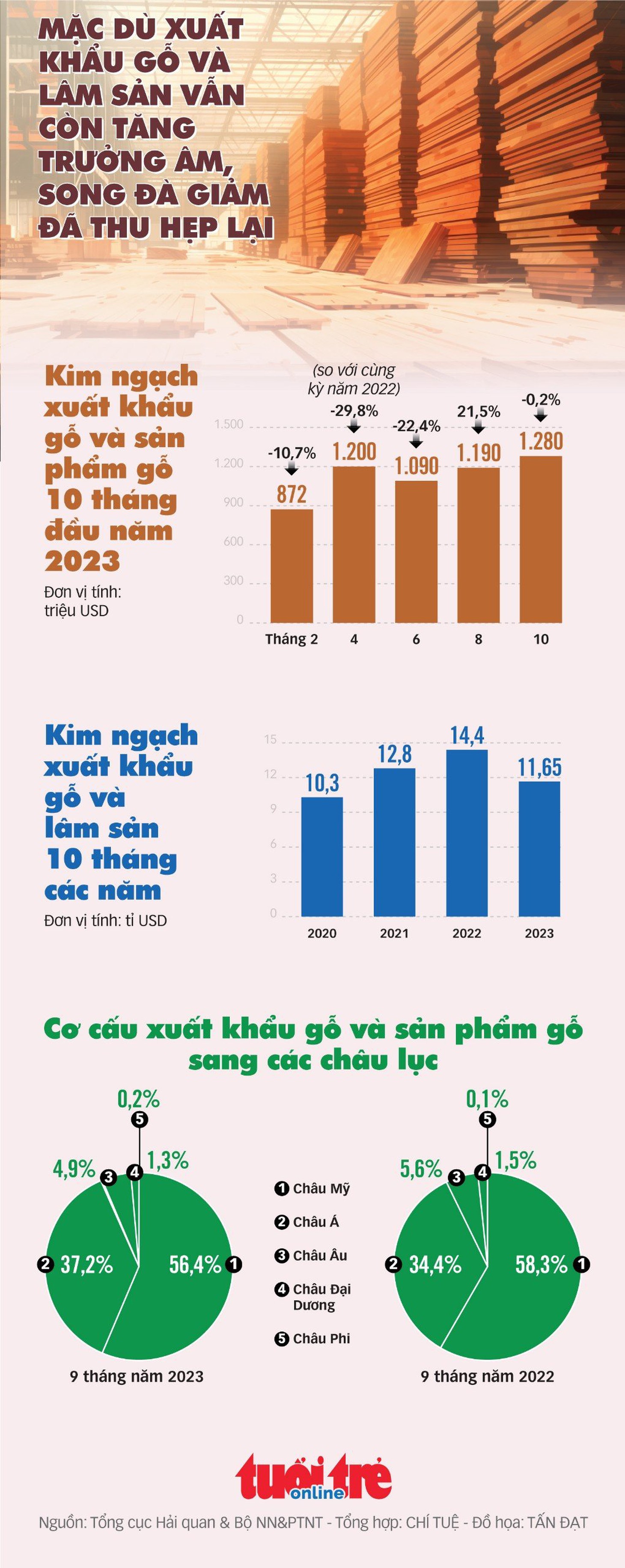  - Ảnh 1.
