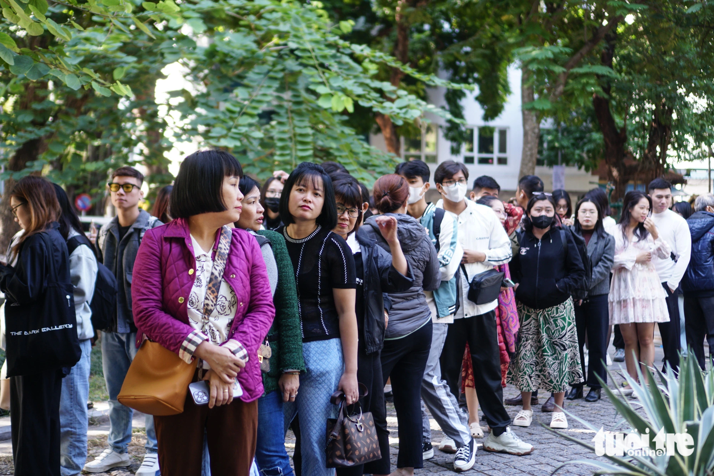 Nhiều người dân đi từ sáng sớm để trở thành một trong những người đầu tiên chiêm ngưỡng không gian nghệ thuật ấn tượng này
