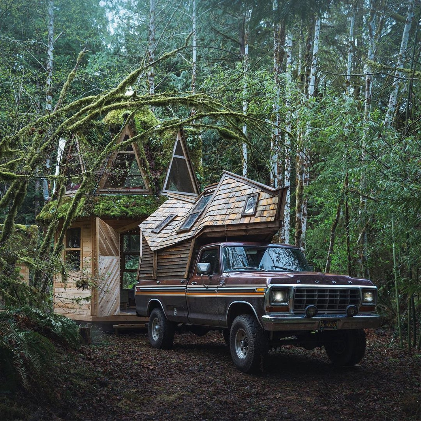 Sau một thời gian dài di chuyển, Truck Cabin giờ đang đậu tại nơi mà hai người biến thành Rainforest Cabinland. Đó cũng là nơi định cư tạm thời của Jacob và Sara. Do không di chuyển trong thời gian dài, bán tải Ford đã bắt đầu rỉ sét, phần nhà không còn cửa sổ và trông tiêu điều
