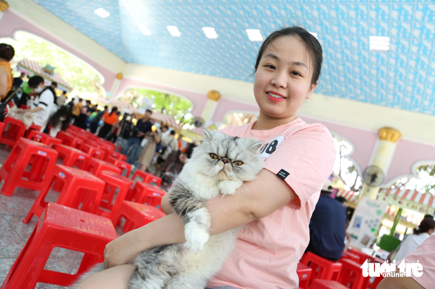 Chị&nbsp;  Phương Nguyên  (quận Phú Nhuận) bên em mèo Ba Tư có đôi mắt lai nâu, lần đầu đi chinh chiến