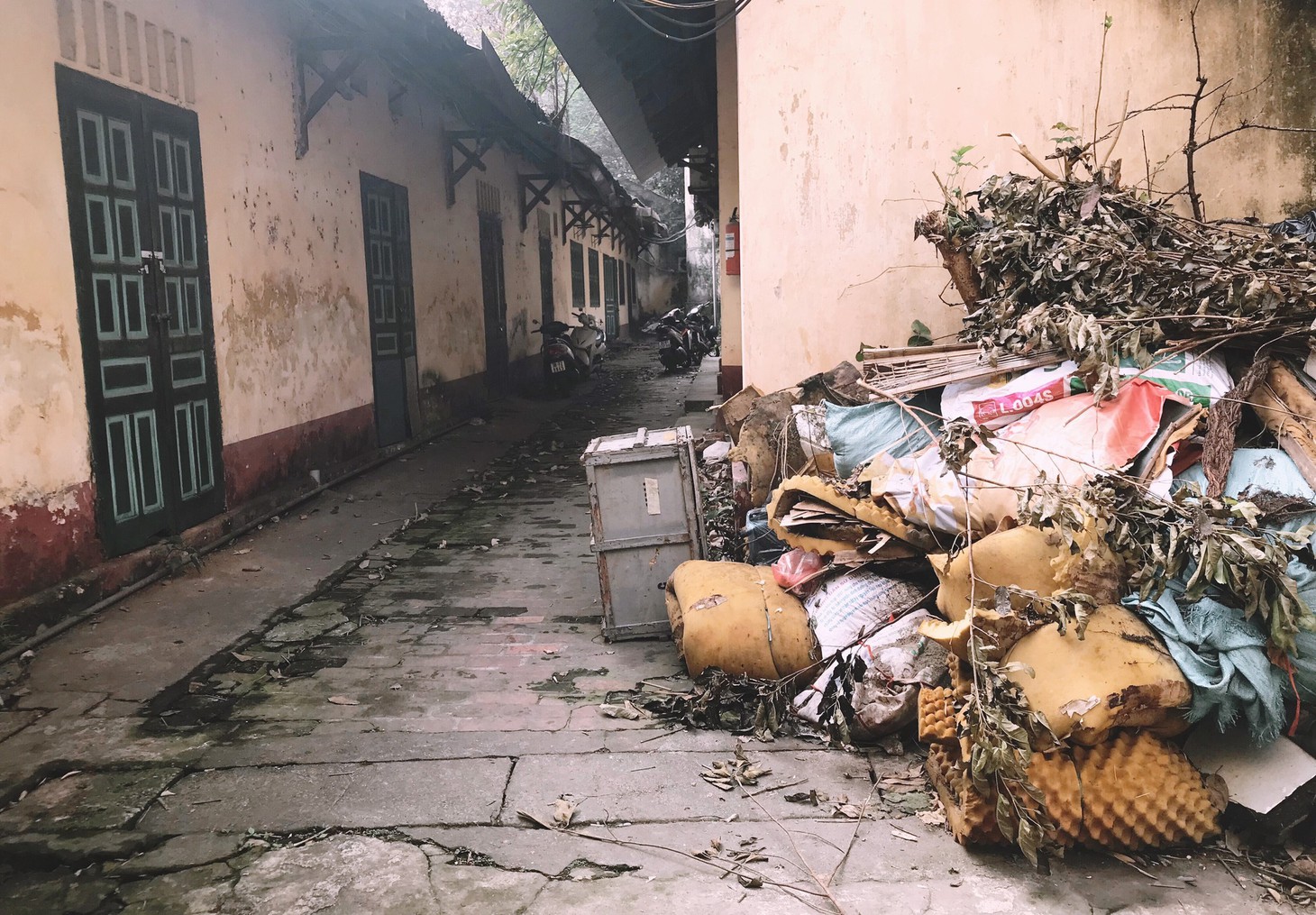 Cánh chim đầu đàn của điện ảnh cách mạng Việt Nam một thời nay bị rác chất đầy - Ảnh: ĐẬU DUNG